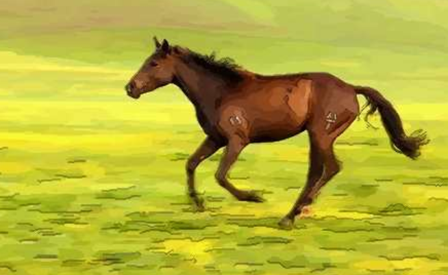 属马是哪一年出生的 属马的是什么命五行属什么