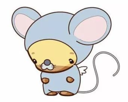 出生于2020年属什么生肖五行