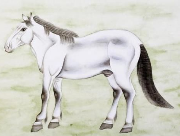 2014年属什么生肖 2014年是平年还是闰年