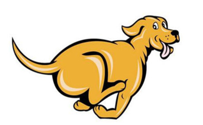 95年属猪跟什么属相配 95年属猪的婚姻什么时候能成功