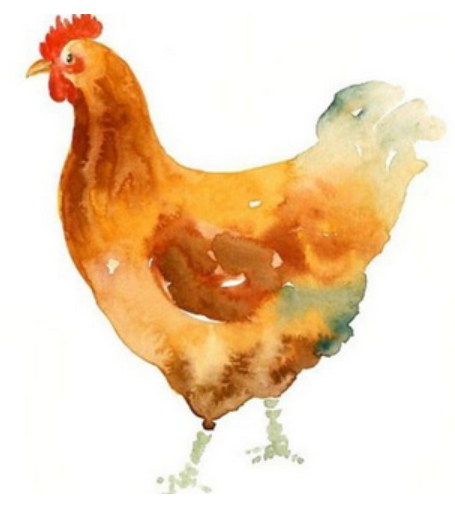 93年属什么生肖 93年是什么命格