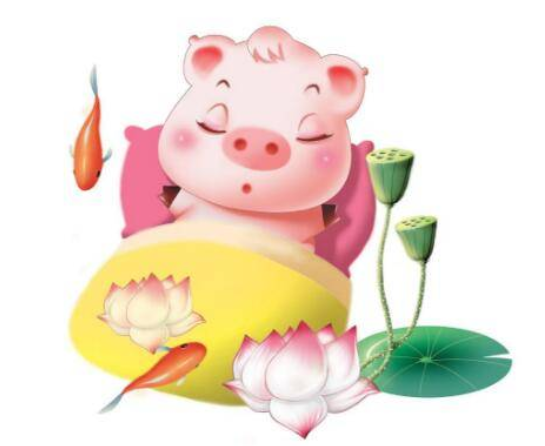 属猪的年份有哪几年 属猪的本命年戴什么最好