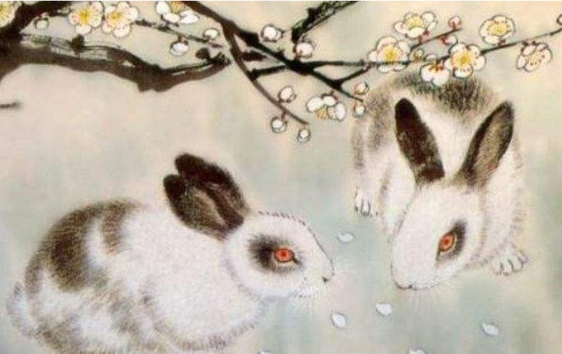 75年属什么的 75年的人今年多大岁数