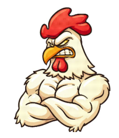 28岁属什么生肖 28岁属鸡的是什么命