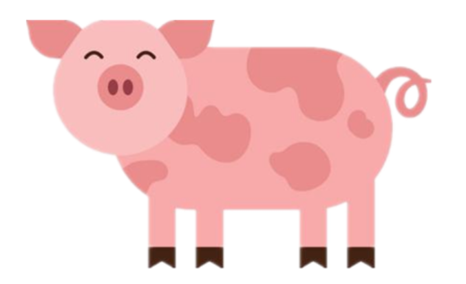 2007年属猪是什么命 2007年属猪的适合佩戴什么