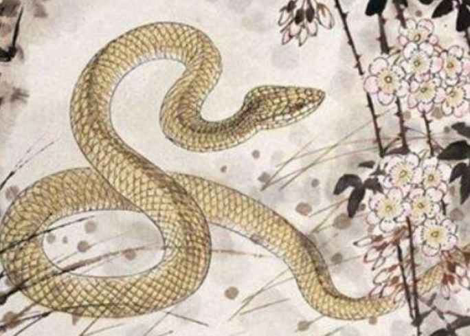 2001年属蛇的是什么命 2001年属蛇的人适合什么时候结婚