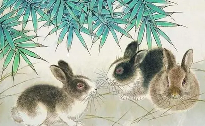 属兔的和属兔的相配吗 属兔的和属兔的婚姻好不好