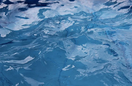 2005年属鸡的人的学业如何