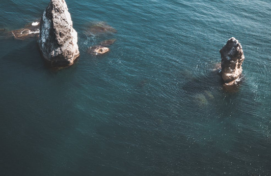 蛇鼠一窝是什么生肖 蛇鼠一窝猜一生肖数字