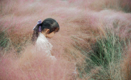 属龙的生什么属相的宝宝好 属龙的和属蛇的婚姻会怎么样