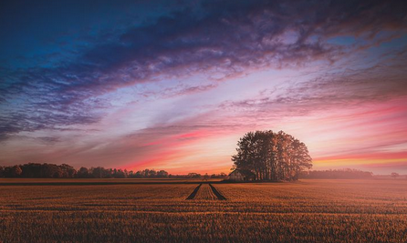 属龙的生什么属相的宝宝好 属龙的和属蛇的婚姻会怎么样