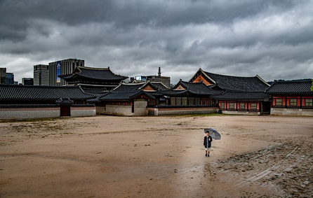 属鼠的和属羊的婚配怎么样 属鼠的和属羊的合不合财