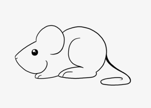 96年属鼠人性格命运  96年属鼠人注定的婚姻