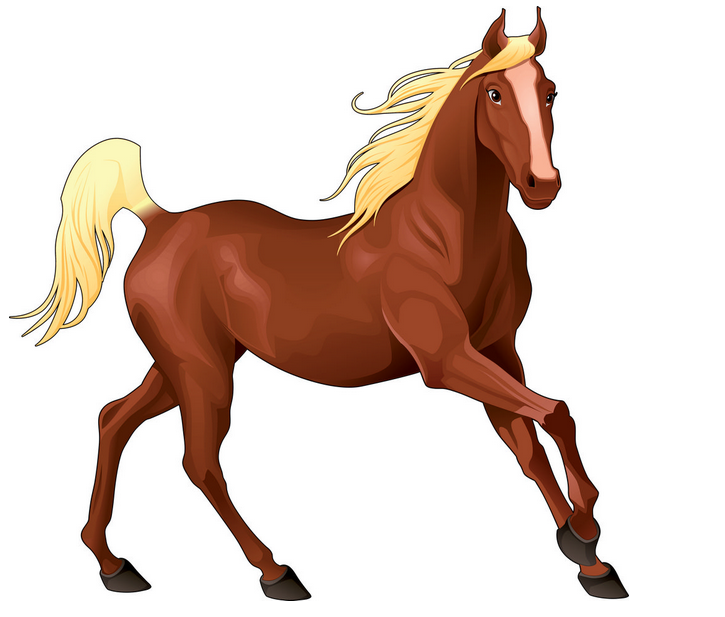 1978年属马的是什么命 1978年属马的女人命运怎么样