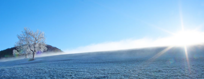 94年狗2021年必有一难怎么回事 94年狗2022年的运势如何
