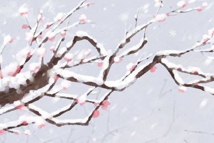 2021年冬至那天是一九第一天吗 今年数九时间表