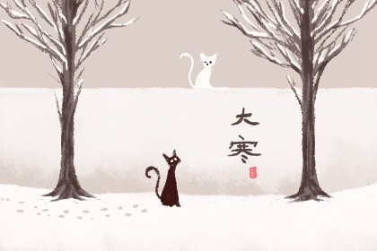 大寒养生吃什么最好 羊肉甘蔗少不了 大寒养生吃什么最好 羊肉甘蔗少不了