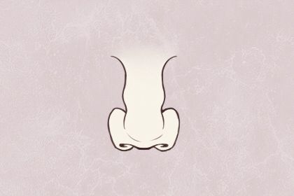 鼻子过大的女人旺夫吗 整体比例须适当